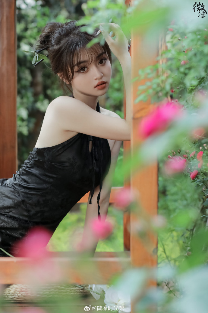 拿破仑 封面